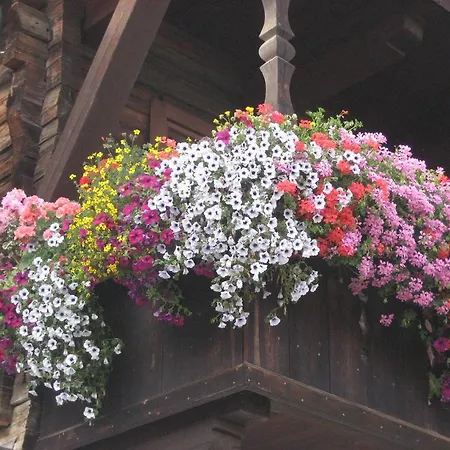 Διαμέρισμα Klammer Gabi *