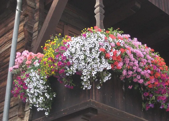 Appartement Klammer Gabi *